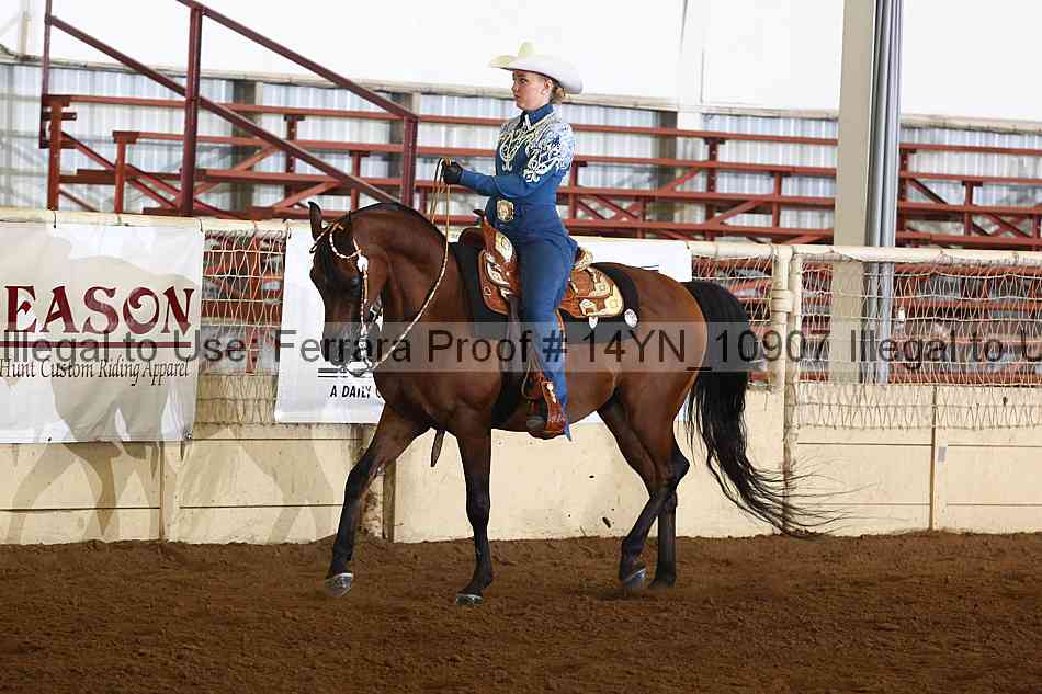 Proof 14yn_10907