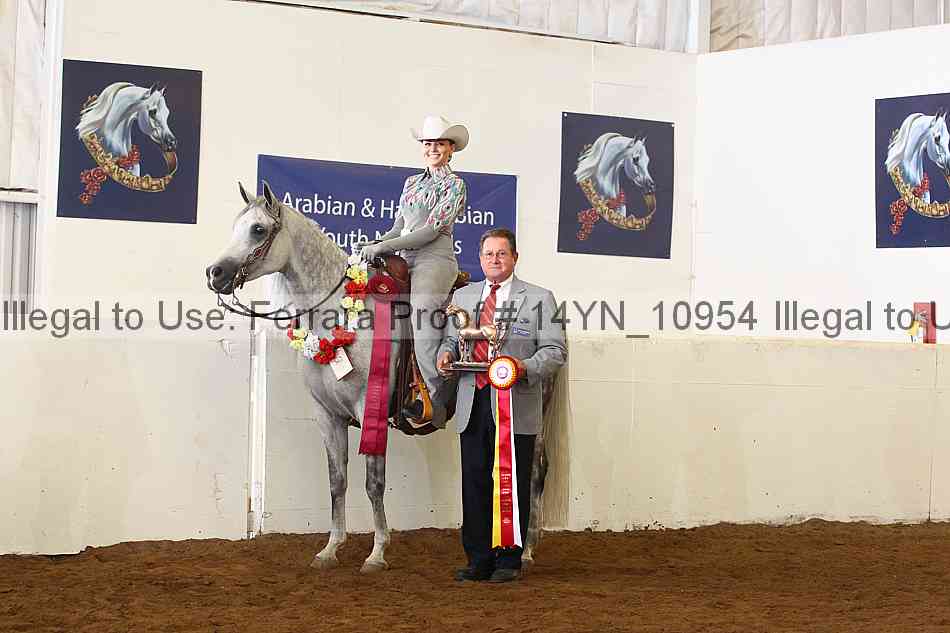 Proof 14yn_10954