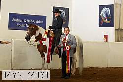 14yn_14181 proof