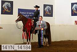 14yn_14184 proof