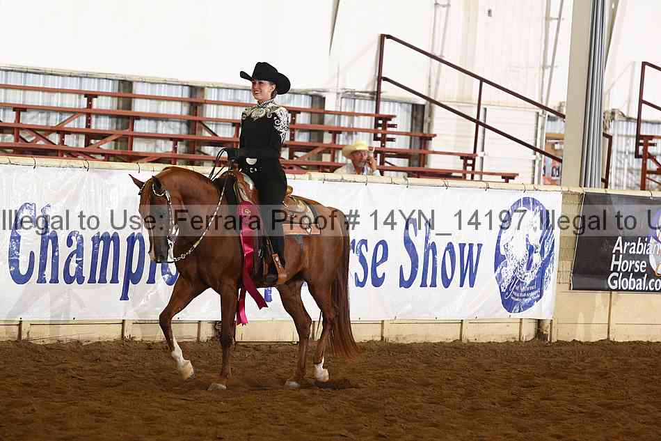 Proof 14yn_14197