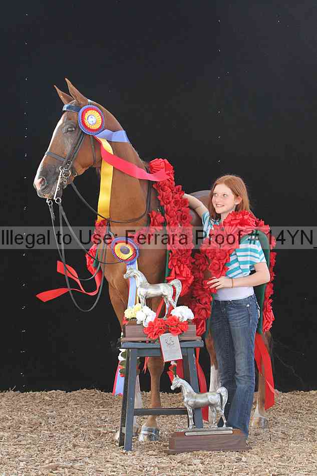 Proof 14yn_26394
