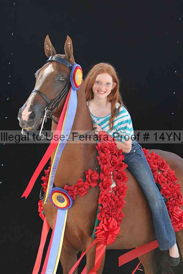Proof 14yn_26408