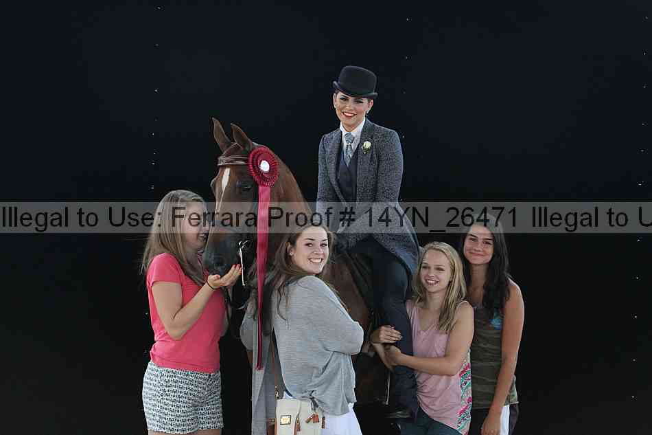Proof 14yn_26471