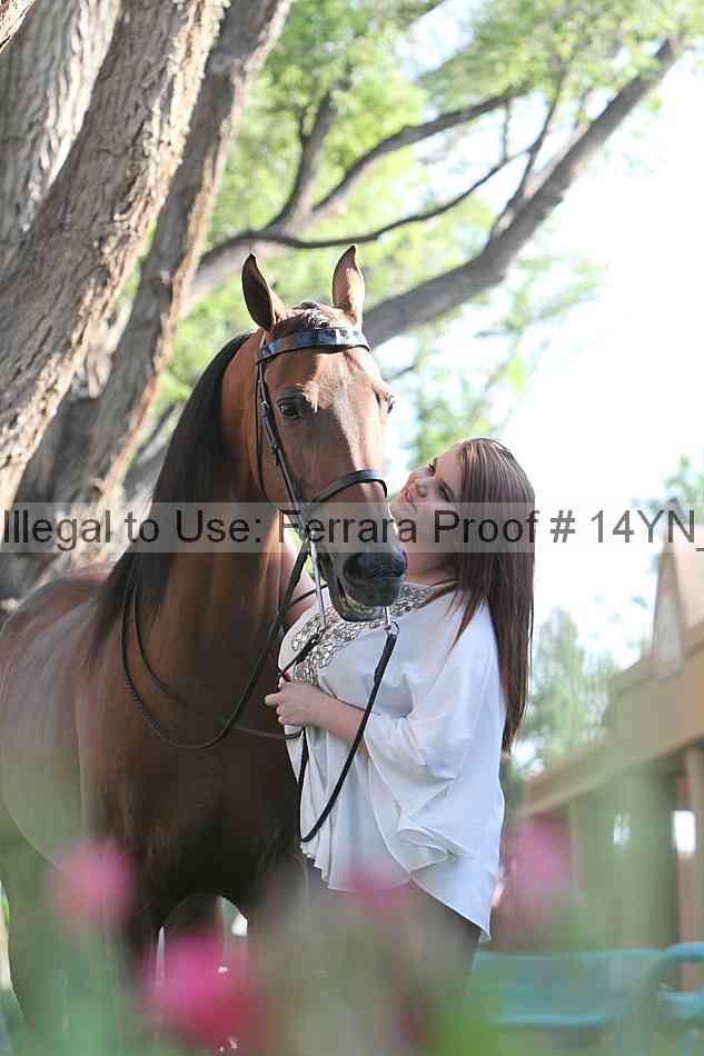 Proof 14yn_22406