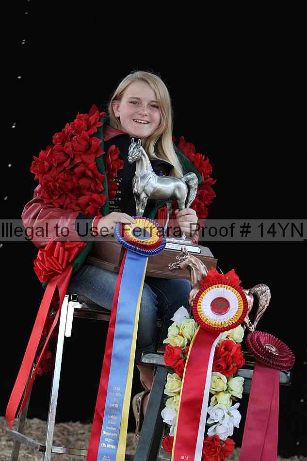 Proof 14yn_26862