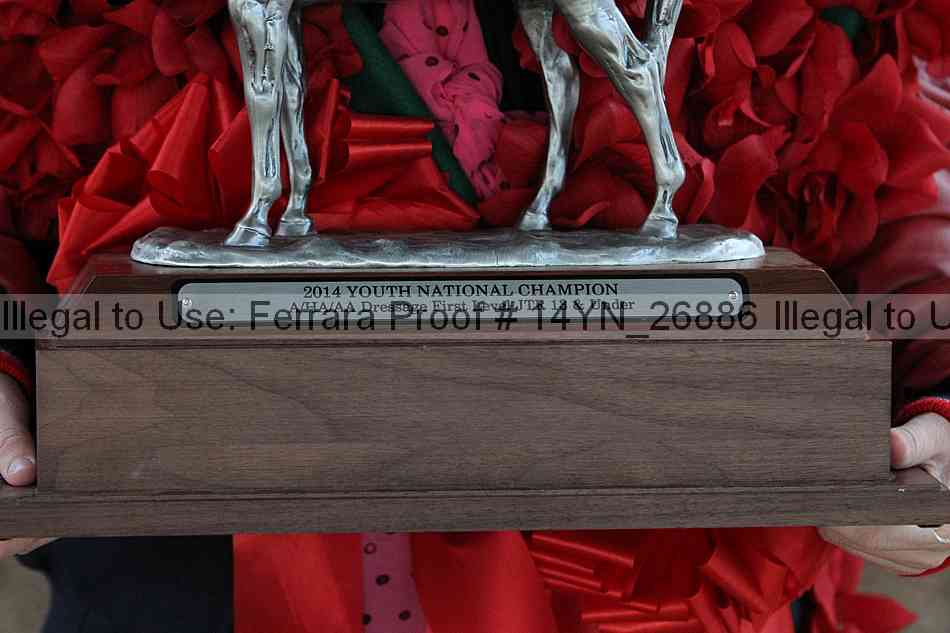 Proof 14yn_26886