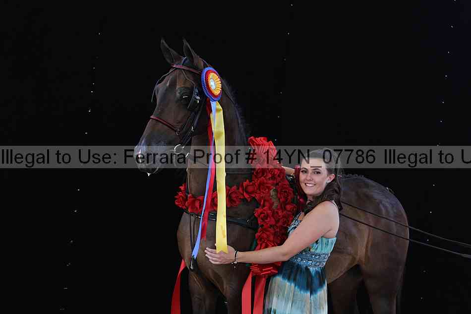Proof 14yn_07786