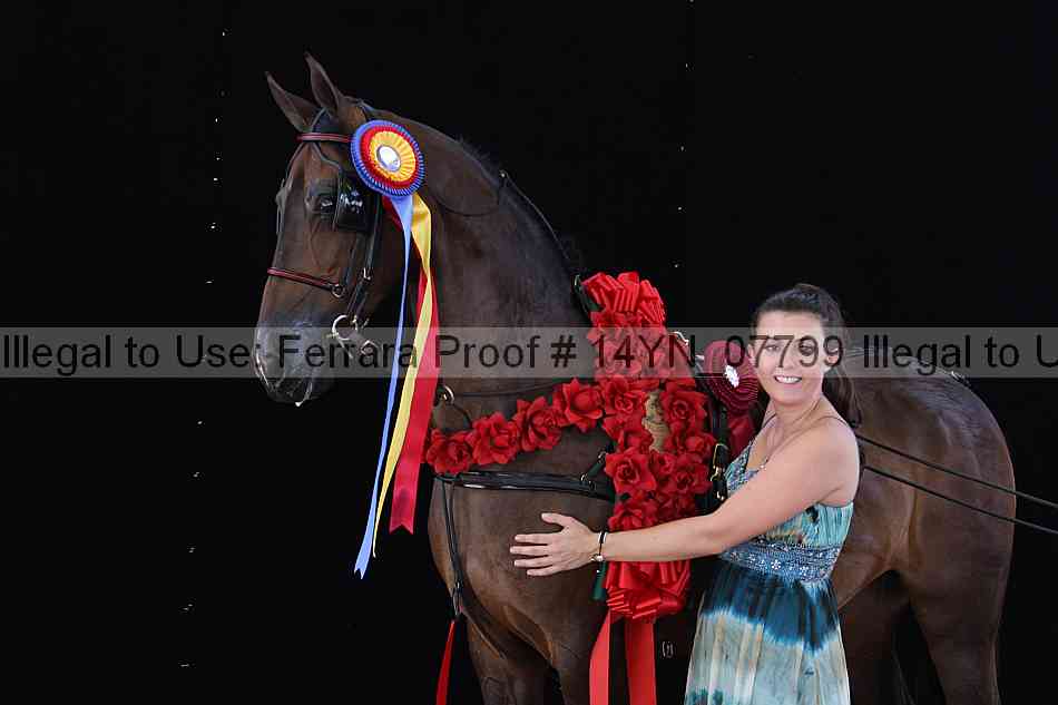 Proof 14yn_07799