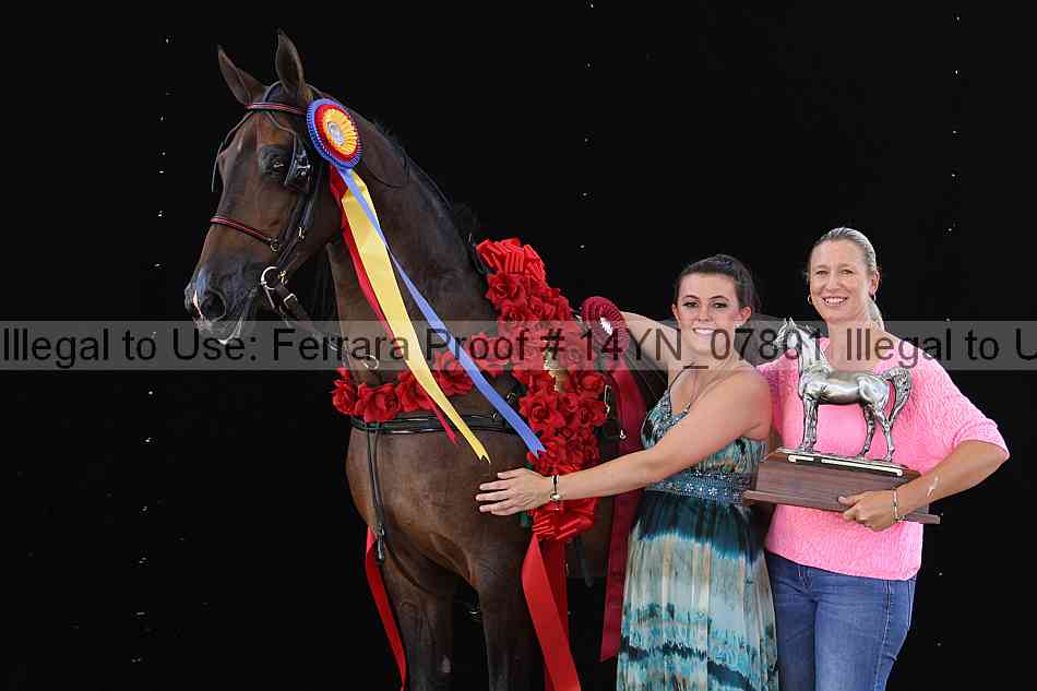 Proof 14yn_07801
