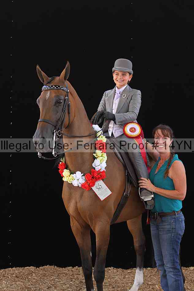 Proof 14yn_07806