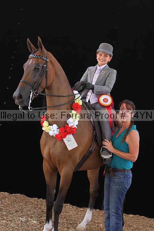 Proof 14yn_07808