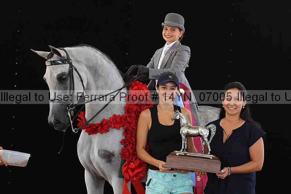 Proof 14yn_07005