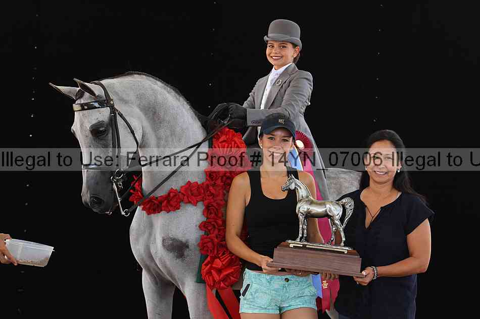 Proof 14yn_07006