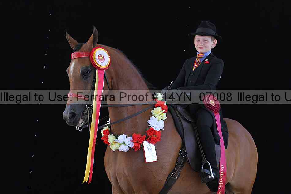 Proof 14yn_07008
