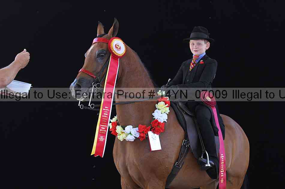 Proof 14yn_07009