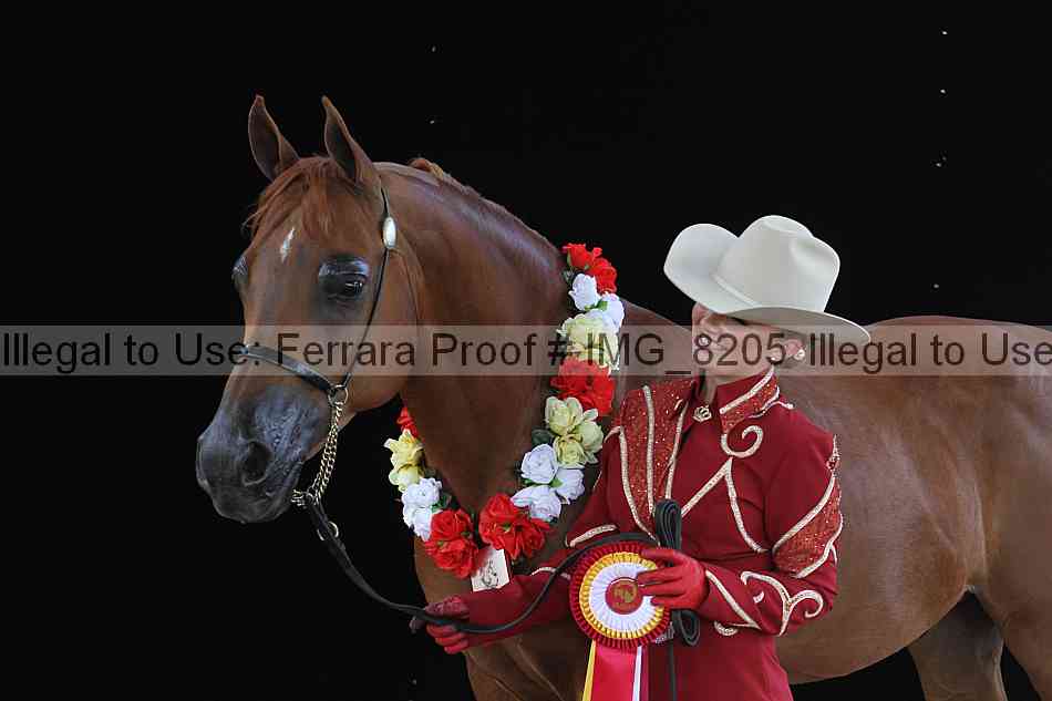 Proof img_8205