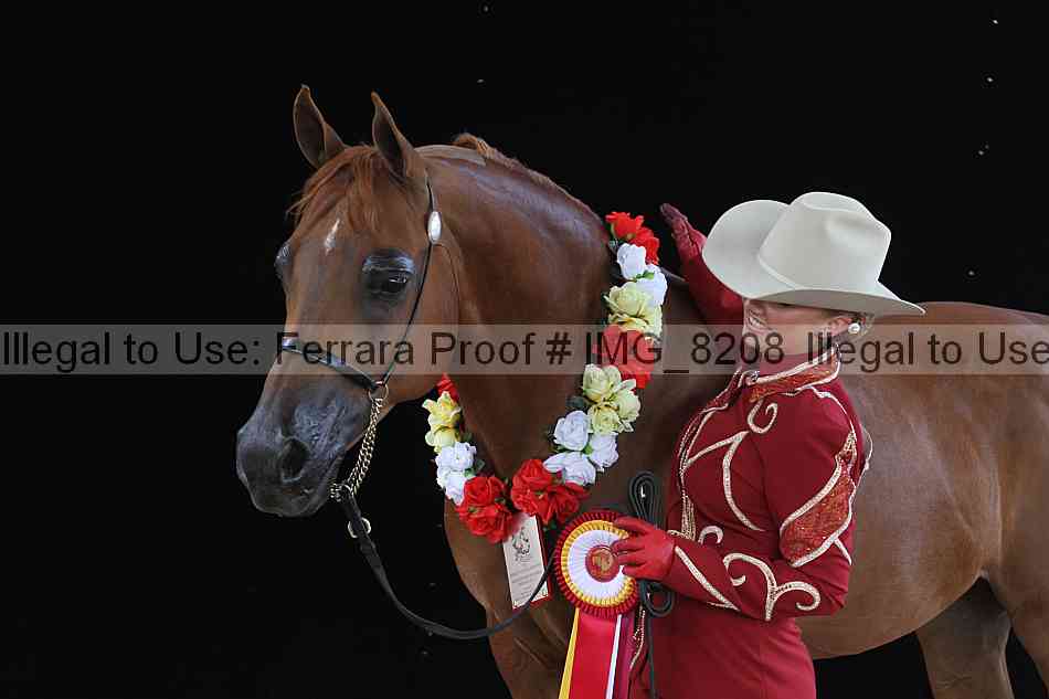 Proof img_8208