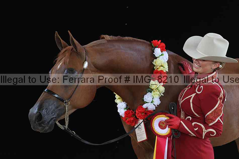 Proof img_8210