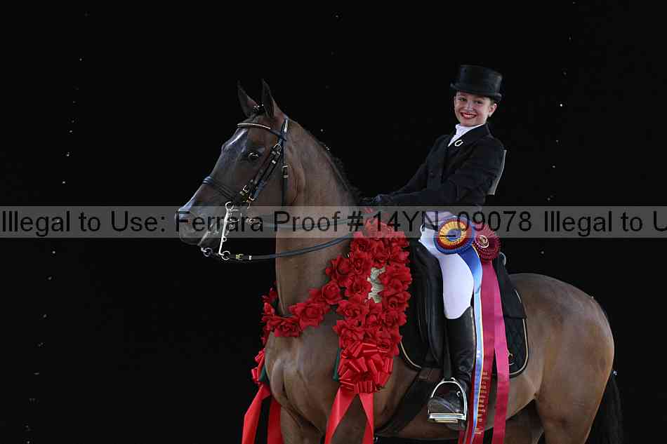 Proof 14yn_09078