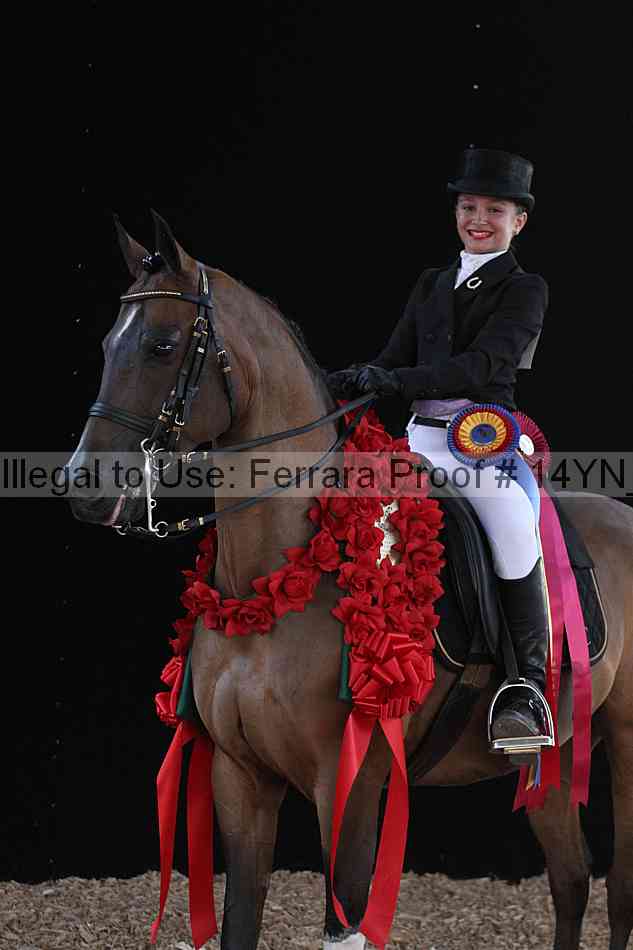 Proof 14yn_09079