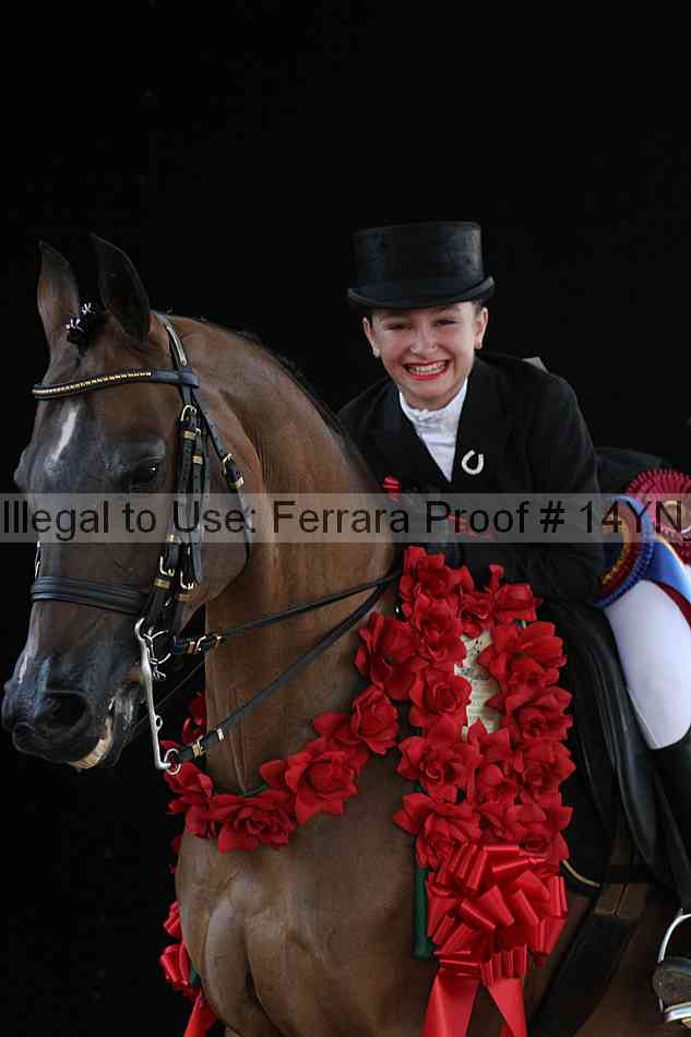 Proof 14yn_09080