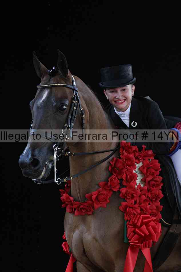 Proof 14yn_09081