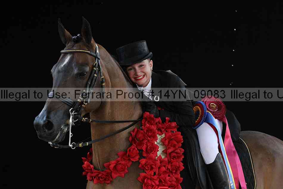 Proof 14yn_09083