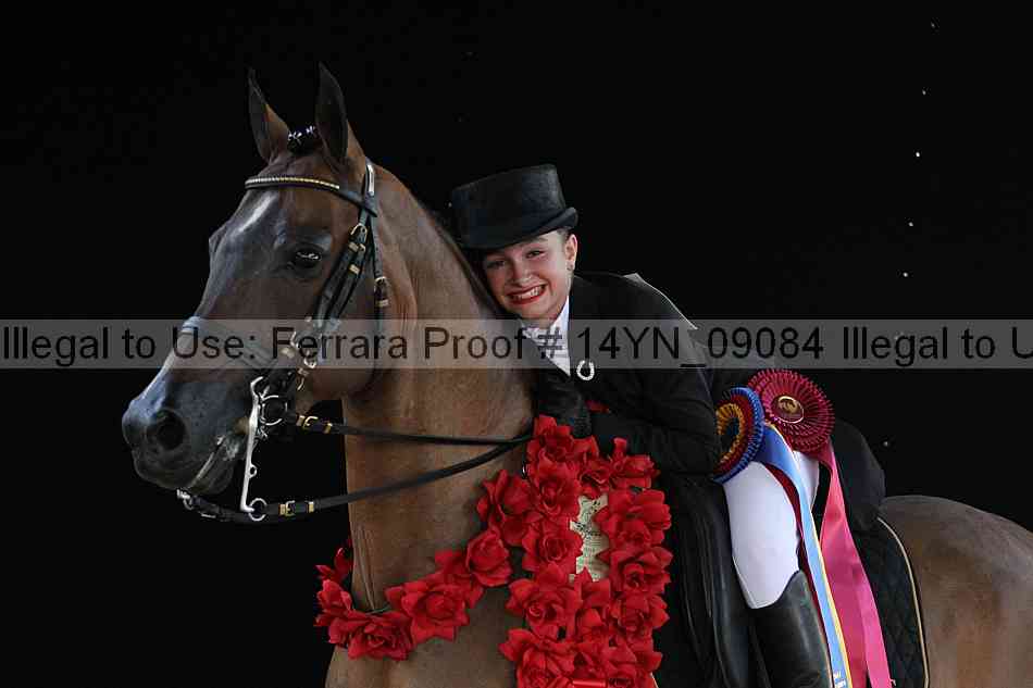 Proof 14yn_09084