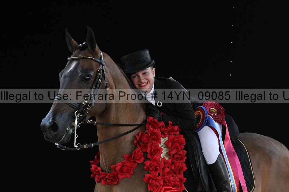 Proof 14yn_09085
