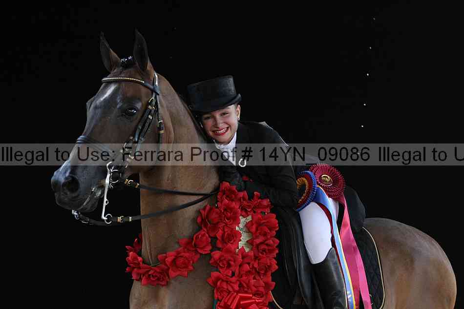 Proof 14yn_09086