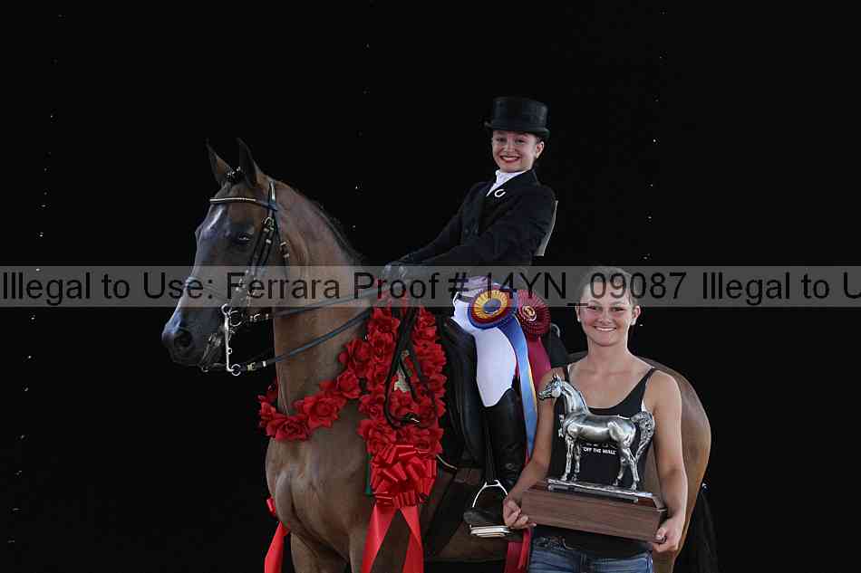 Proof 14yn_09087