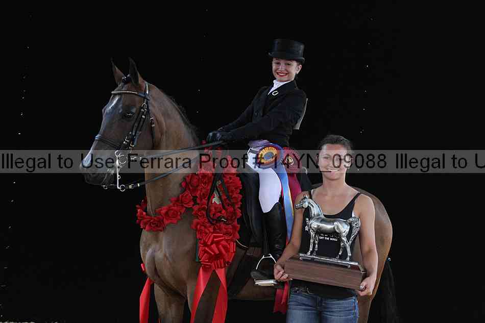Proof 14yn_09088