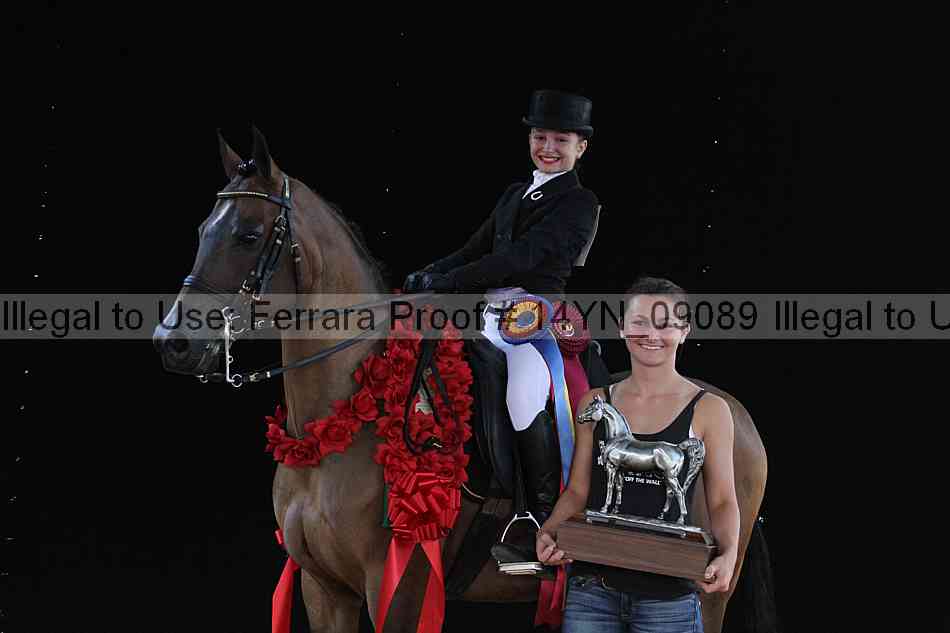 Proof 14yn_09089