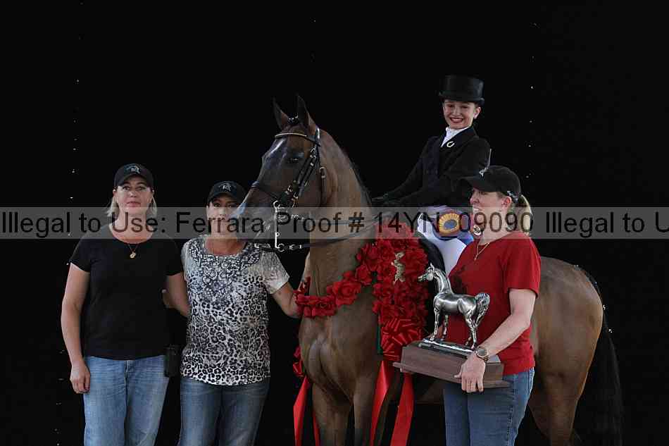 Proof 14yn_09090