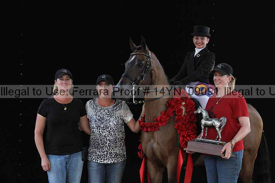 Proof 14yn_09091