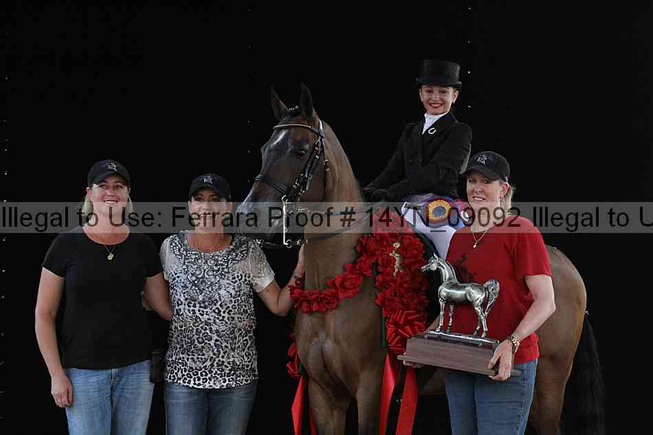 Proof 14yn_09092