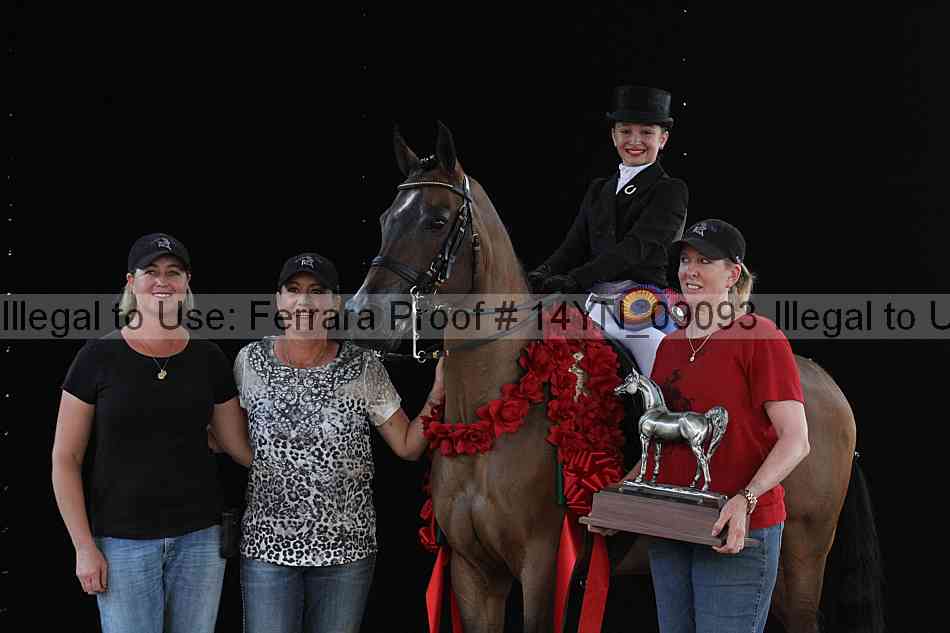 Proof 14yn_09093