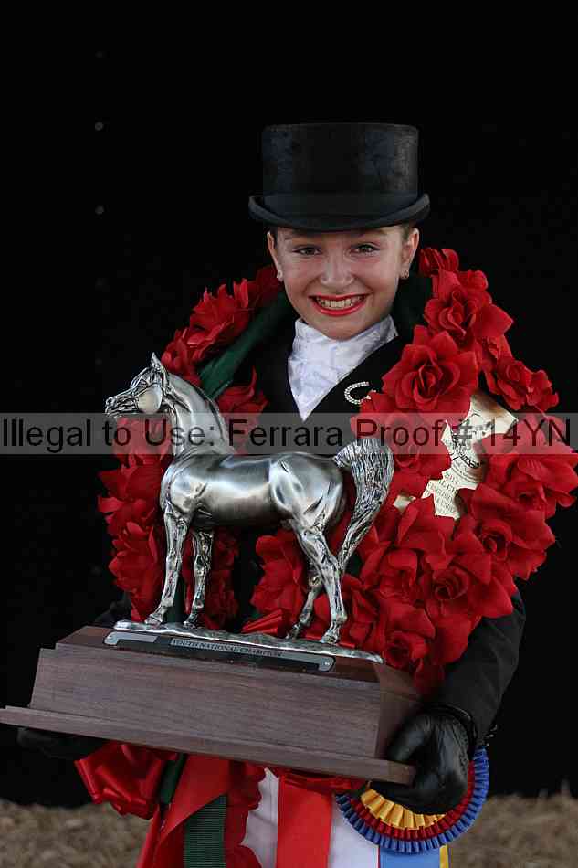 Proof 14yn_09094