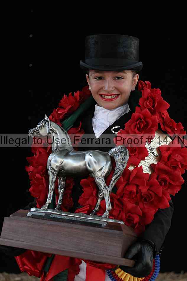 Proof 14yn_09095