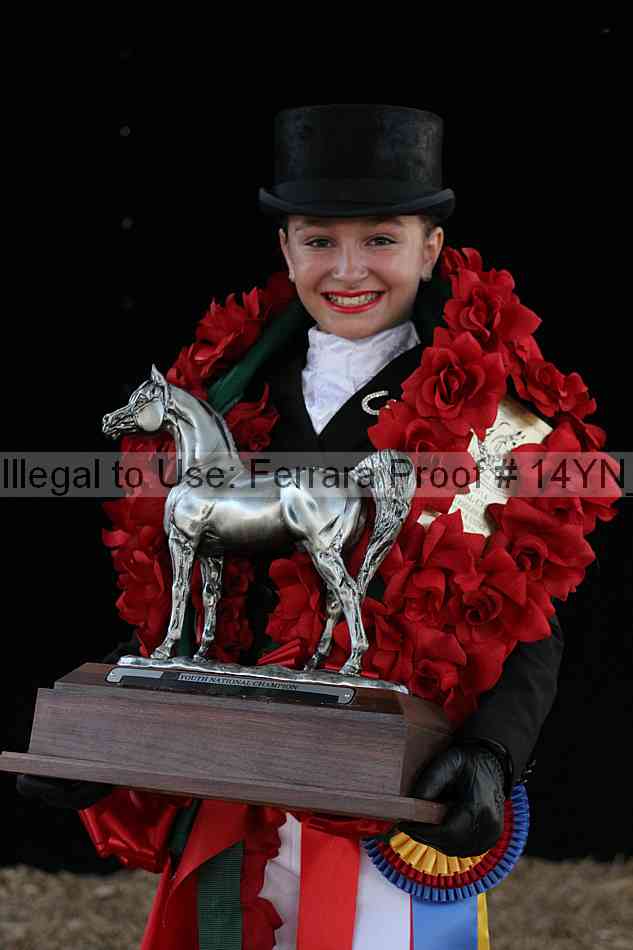 Proof 14yn_09096