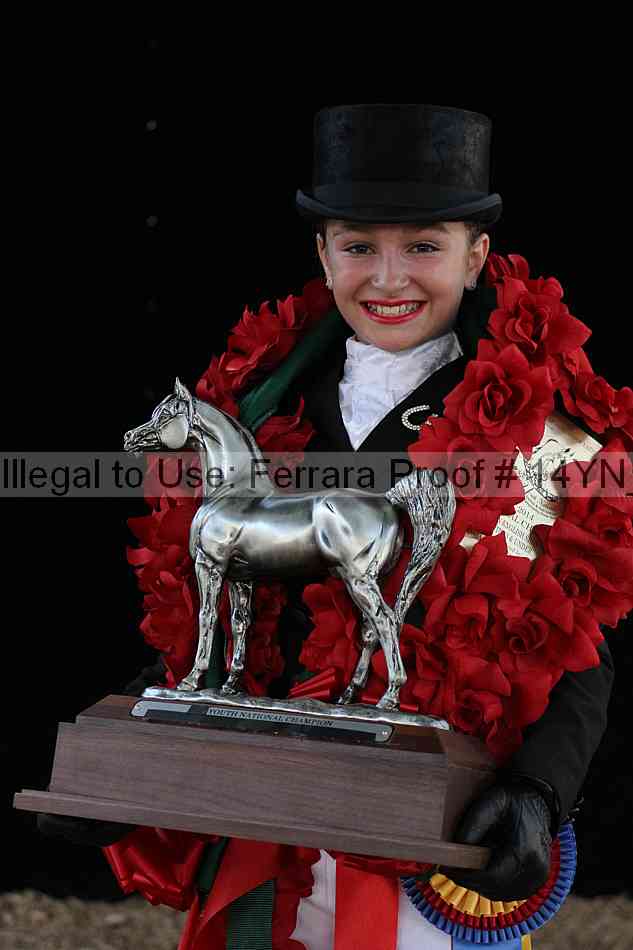 Proof 14yn_09097