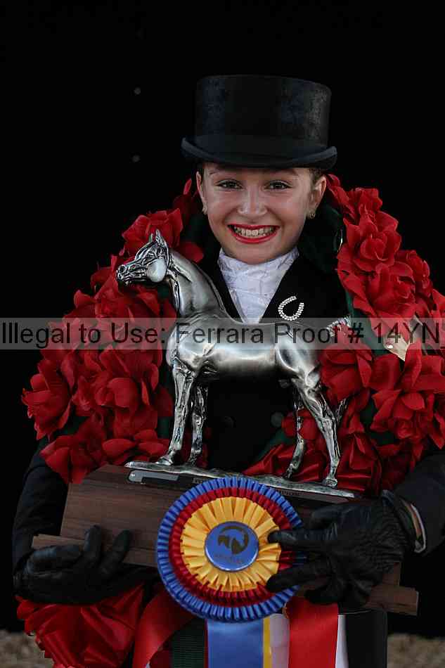 Proof 14yn_09098