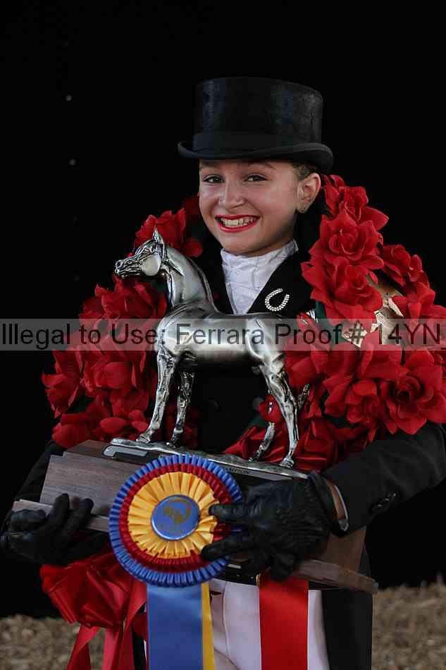 Proof 14yn_09101