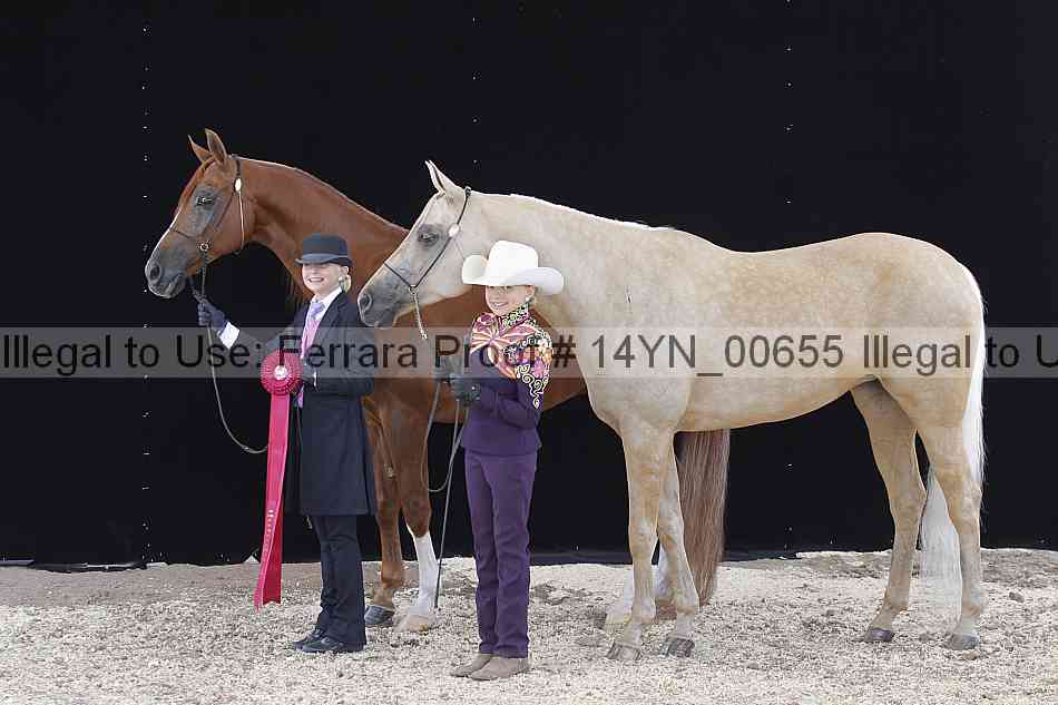 Proof 14yn_00655