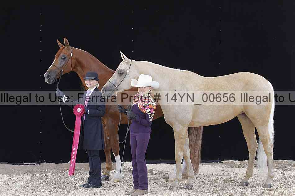 Proof 14yn_00656