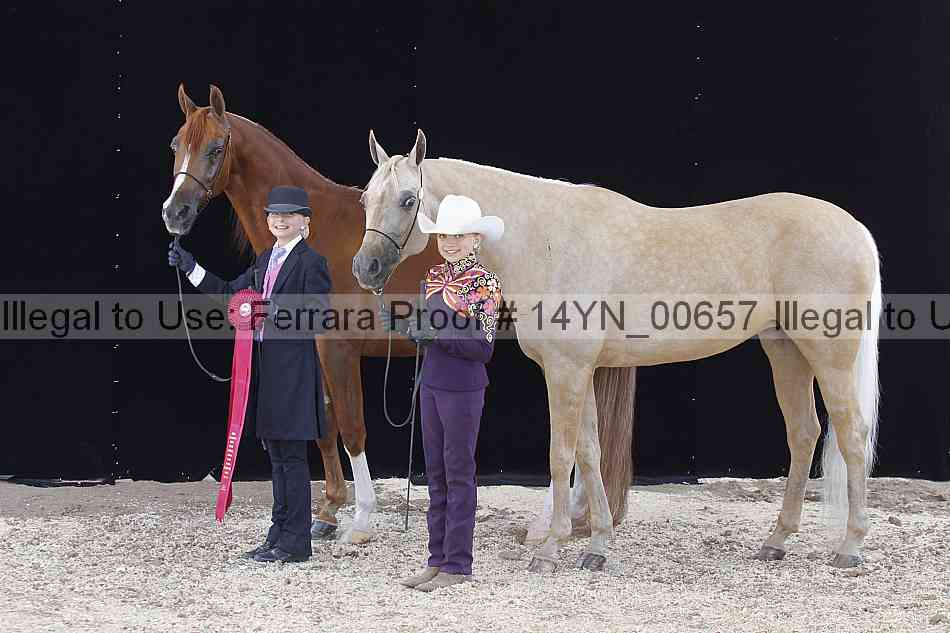 Proof 14yn_00657