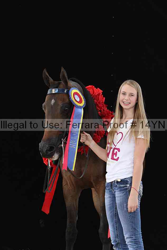 Proof 14yn_29406