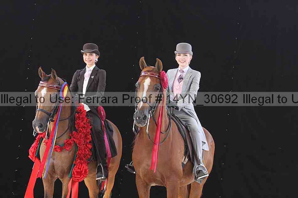Proof 14yn_30692