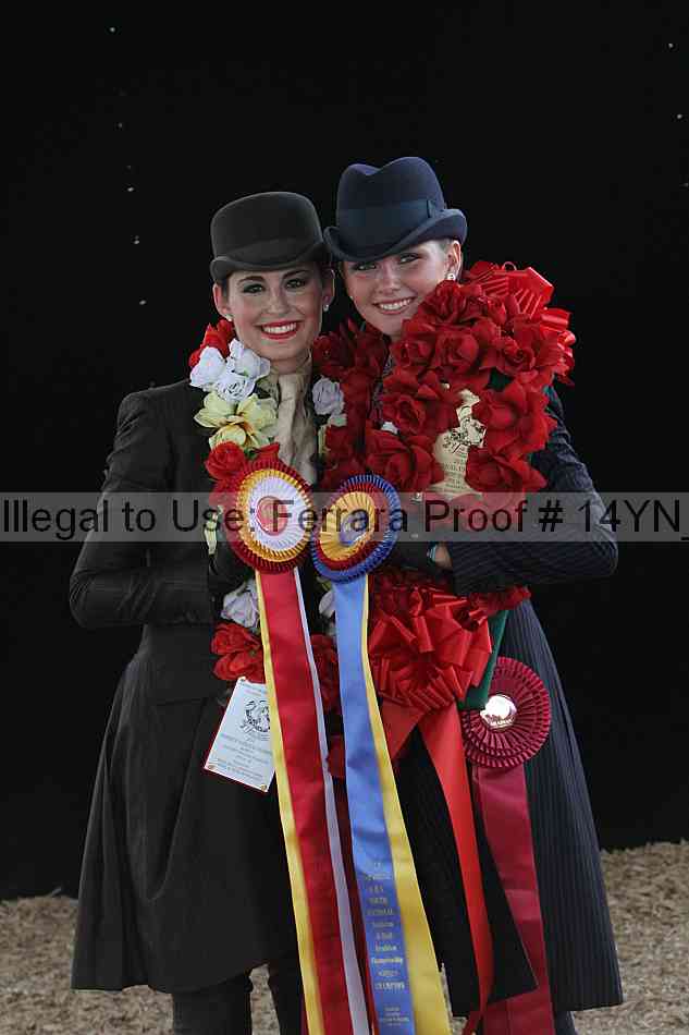 Proof 14yn_30801